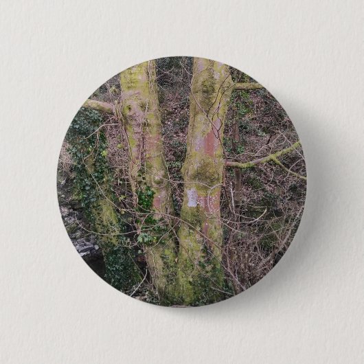 Spiegel bomen badge ronde button 5,7 cm (Voorkant)