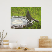Spiegeland Mockingbird drink water Poster (Keuken)