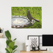 Spiegeland Mockingbird drink water Poster (Thuiskantoor)