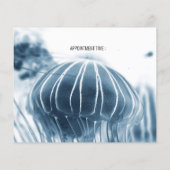 SPIEGELER VOOR BEDRIJVEN : JELLYFISH FLYER (Achterkant)