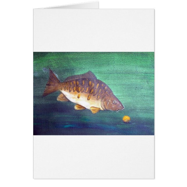 Spiegelkarper (Voorkant)