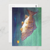 Spiegelkarper Briefkaart (Voorkant / Achterkant)