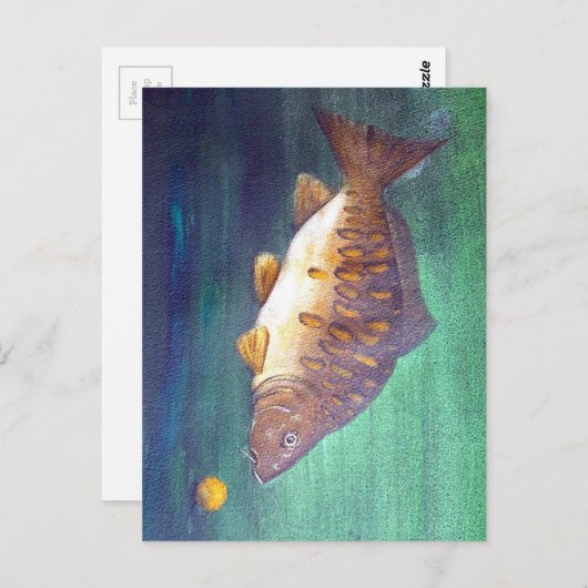 Spiegelkarper Briefkaart (Voorkant / Achterkant)