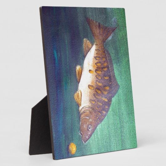 Spiegelkarper Gevist plaque Fotoplaat (Zijkant)