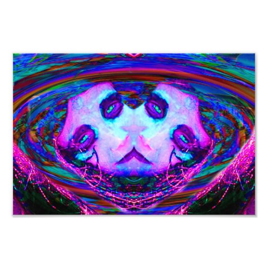 Spiegelreflectie Foto Afdruk (Voorkant)