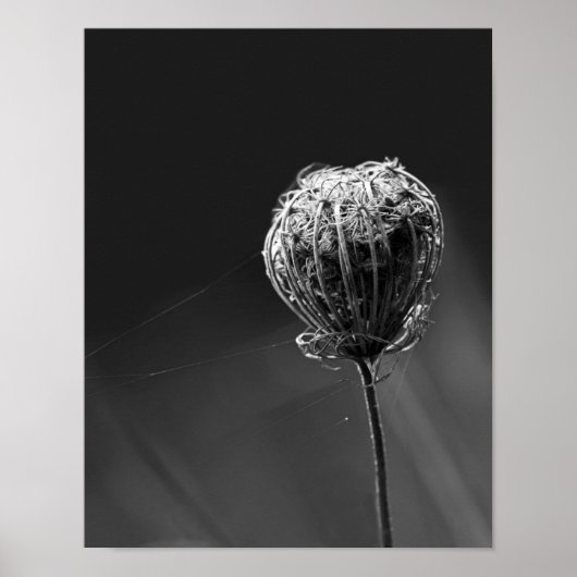 Spiegels met wilde bloemen | Matching Spider Lover Poster (Voorkant)