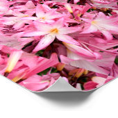 Spiegels van Amaryllis.... Poster (Hoek)