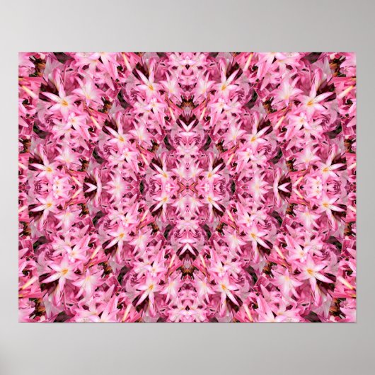 Spiegels van Amaryllis.... Poster (Voorkant)