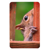 spiekende eekhoorn magneet (Verticaal)