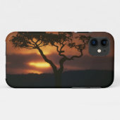 Spiel-Reserve Afrikas, Kenia, Masai-Mara, stellend Case-Mate iPhone Case (Achterkant (horizontaal))