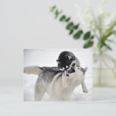 spielodernest briefkaart (Staand voorkant)