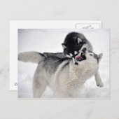 spielodernest briefkaart (Voorkant / Achterkant)