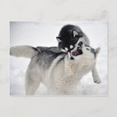 spielodernest briefkaart (Voorkant)