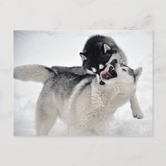 spielodernest briefkaart (Voorkant)