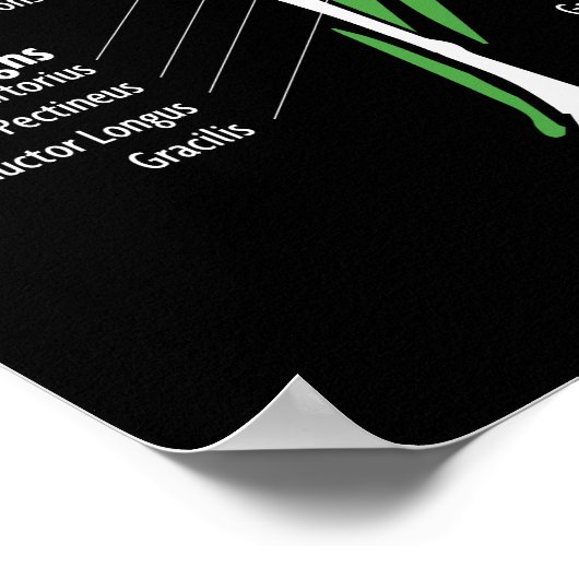 Spier Anatomie Grafiek - Gym Workout Bodybuilding Poster (Hoek)