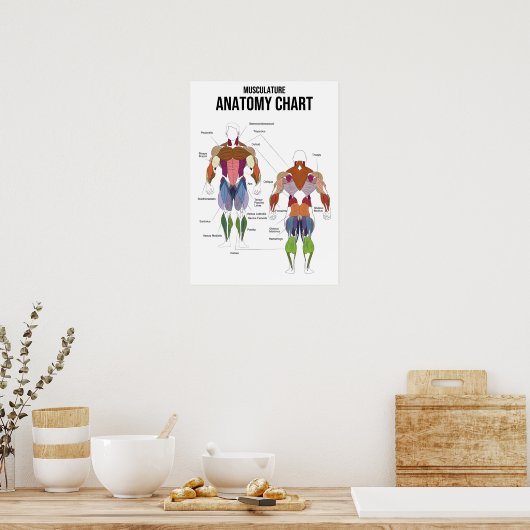 Spier- en urinewegaandoeningen poster (Keuken)