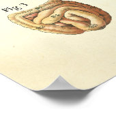 Spier en viscera van het Vrouw Anatomie Poster (Hoek)