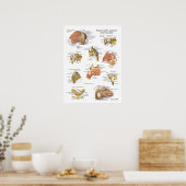 Spier: ligamenten van de schouderanatomiegrafiek poster (Keuken)