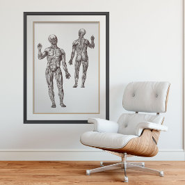 Spier Mannen Sport Geneesmiddel Humaan Anatomie Poster