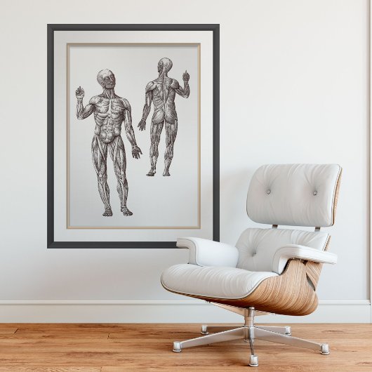 Spier Mannen Sport Geneesmiddel Humaan Anatomie Poster