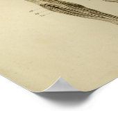 Spier Nerves Anatomie Afdrukken Poster (Hoek)