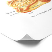 Spieranatomie van het gezicht en de nekgrafiek poster (Hoek)