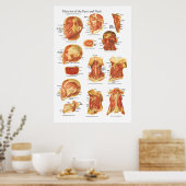 Spieranatomie van het gezicht en de nekgrafiek poster (Keuken)