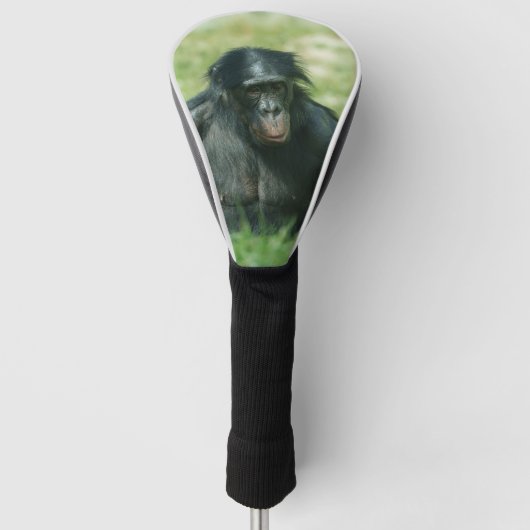 Spierbonobo in het gras golfheadcover (Voorkant)