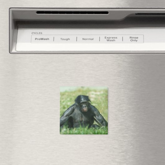 Spierbonobo in het gras magneet (Insitu (Vaatwasser))