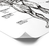 Spierdiagram en Oefengids - Bodybuilding Motivatie Poster (Hoek)