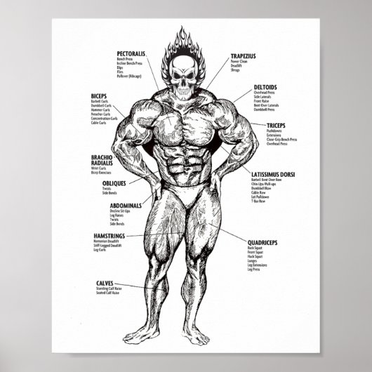 Spierdiagram en Oefengids - Bodybuilding Motivatie Poster (Voorkant)
