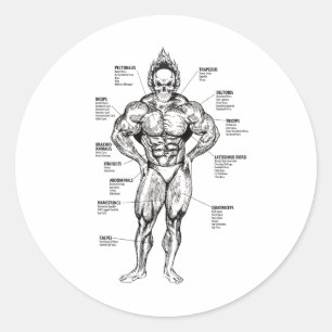 Spierdiagram en Oefengids - Bodybuilding Motivatie Ronde Sticker