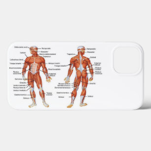 Spierdiagram medgiften101 Case-Mate iPhone case