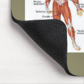 Spierdiagram medgiften101 muismat (Hoek)