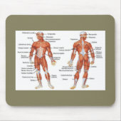 Spierdiagram medgiften101 muismat (Voorkant)