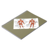 Spierdiagram medgiften101 notitieboek (Linkerzijde)