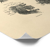  spieren Anatomie 1880 Afdrukken Poster (Hoek)