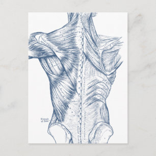 spieren blauw (1890) briefkaart