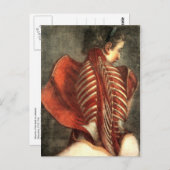 Spieren op de achterkant in een vrouw briefkaart (Voorkant / Achterkant)