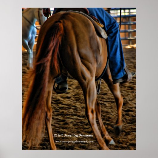 Spieren Poster (Voorkant)