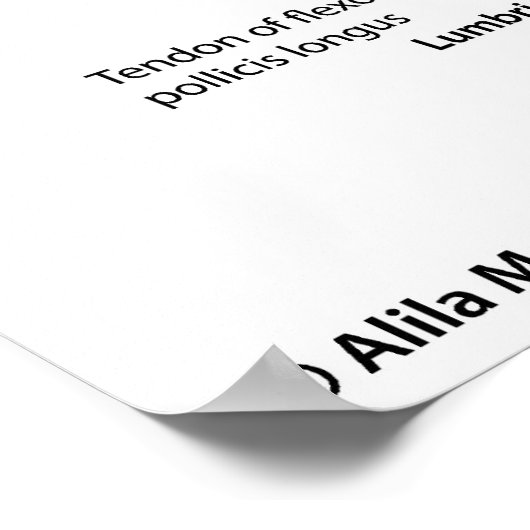 Spieren van de hele arm, met de aanduiding tekenin poster (Hoek)