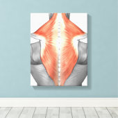 spieren van de rug en de nek canvas afdruk (Insitu (Houten vloer))