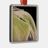 Spieren van de schouder metalen ornament (Rechts)