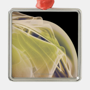 Spieren van de schouder metalen ornament