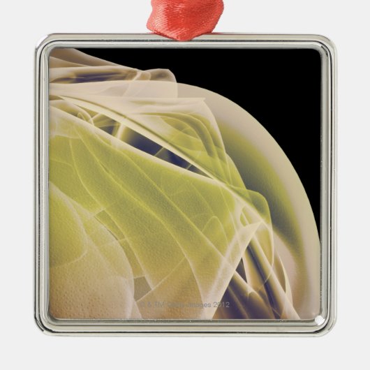 Spieren van de schouder metalen ornament (Voorkant)