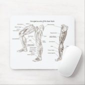 Spieren van het onderlichaam muismat (Met muis)