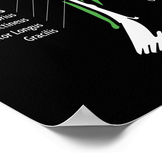 Spiergrafiek, Anatomie Diagram - Gym Workout Poster (Hoek)