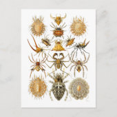 Spiers Briefkaart (Voorkant)