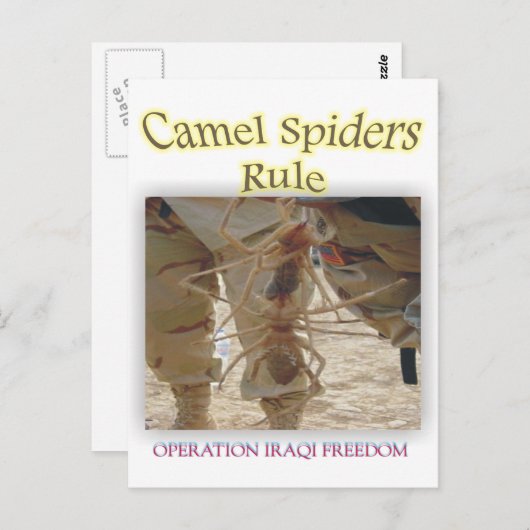 Spiers Briefkaart (Voorkant / Achterkant)