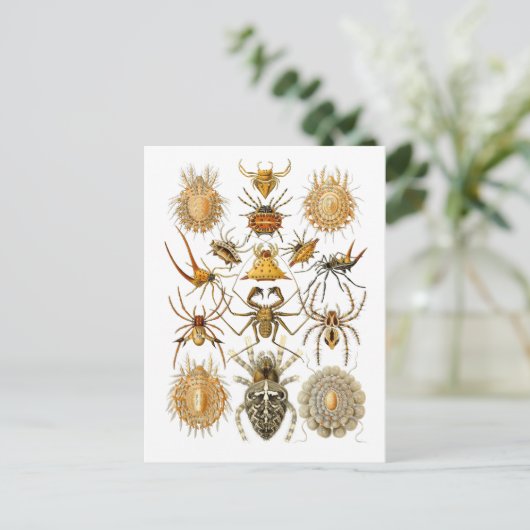 Spiers Briefkaart (Staand voorkant)